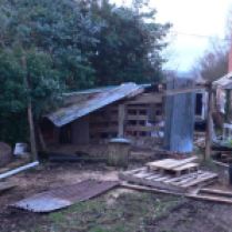 Demolishing the end of the old shed